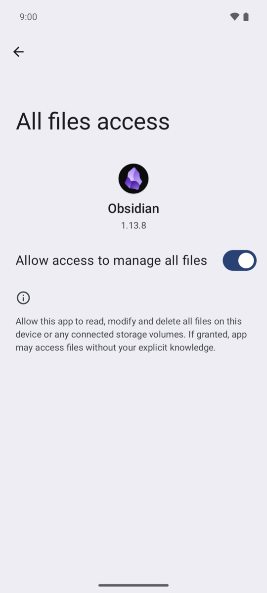 The same screen with Allow access to manage all files switched on