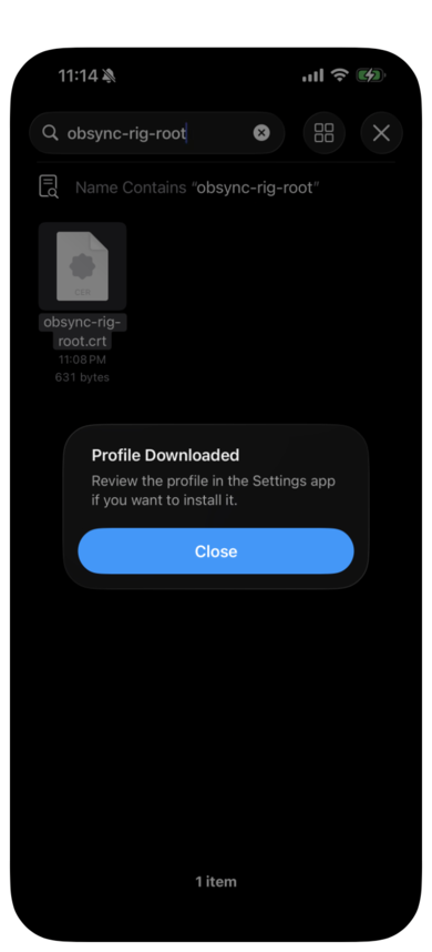 The Profile Downloaded alert: review the profile in the Settings app if you want to install it