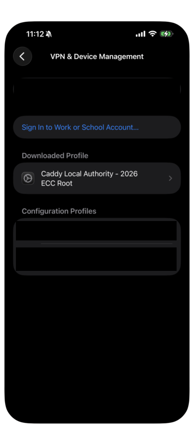 VPN & Device Management with the certificate under Downloaded Profile