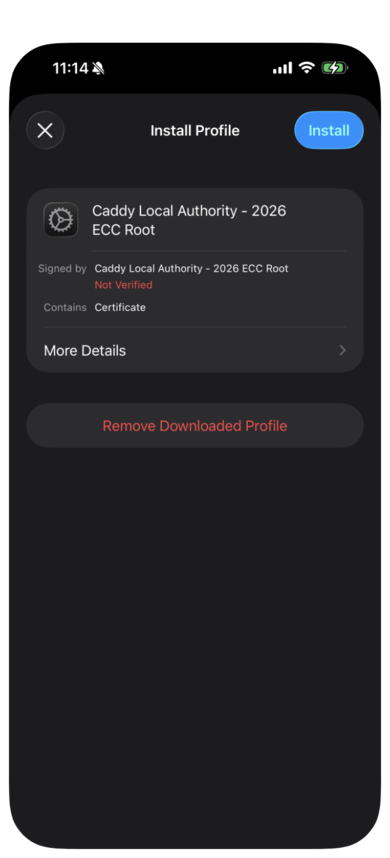 The Install Profile screen with the Install button