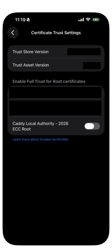 Certificate Trust Settings with the new certificate still off