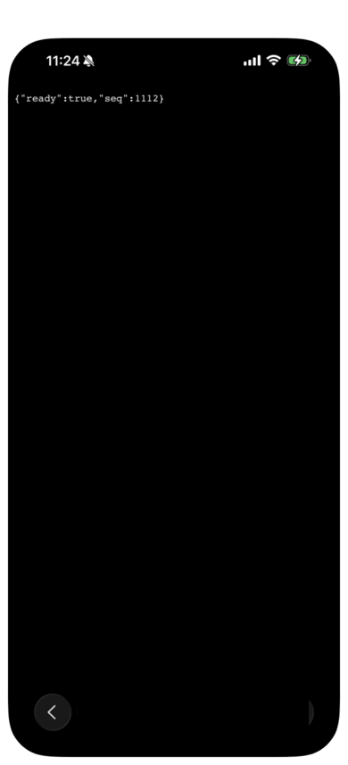 Safari on the phone showing ready true from the server