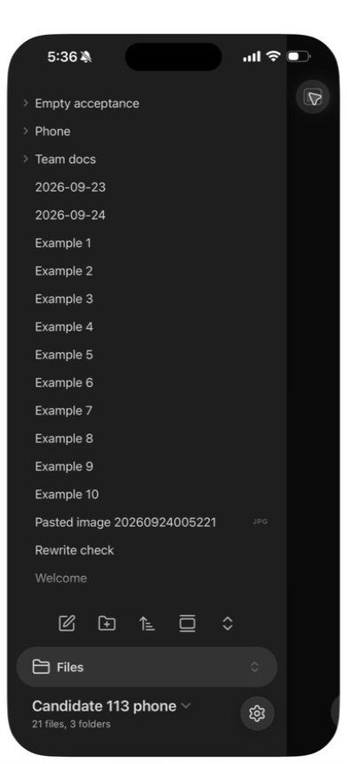 The final candidate receives the synthetic file list without conflict copies