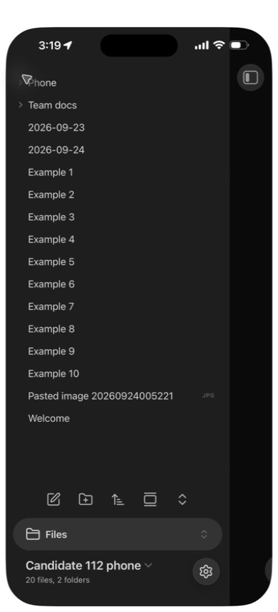 The first sync keeps each seeded example once in the phone's file list